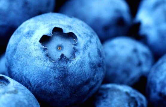 Estrategia y Finanzas: Ideas para mejorar el capital de trabajo