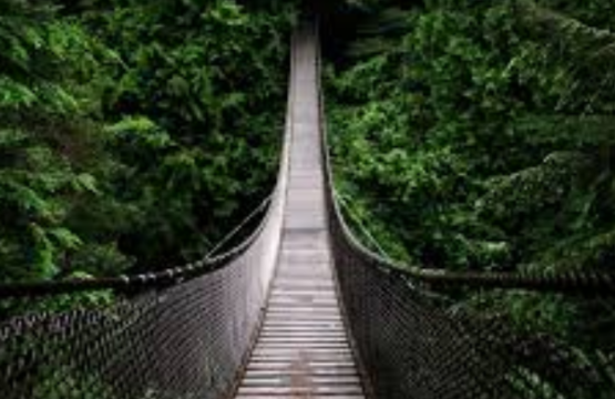 El puente entre la eficiencia y el crecimiento: