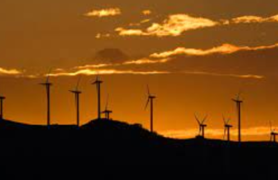 Sustentabilidad: ¿Por dónde debe empezar un CFO/CSO?